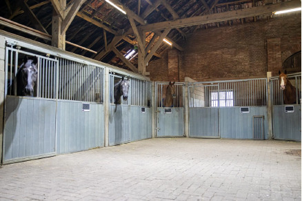 Droomeind vakantiewoningen met paardenhotel VMP116